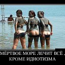 ���� ������, ������ - ��������� 24 ������ 2014 � ������ ���� ����������