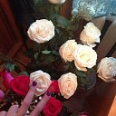 ���� &brvbar;�� �� �� ��&brvbar;, �����������, 29 ��� - ��������� 10 ������� 2014 � ������ ���� ����������