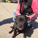  Roxanne, - -  28  2014   --