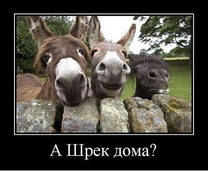 �������������� �� ���� �������� <a href=
