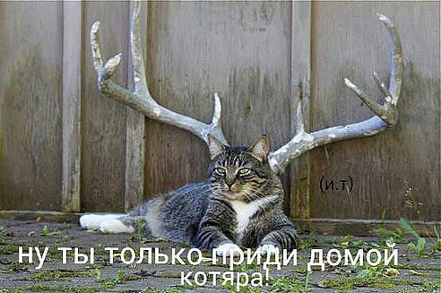  - 13  2014  14:27