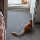 ����� � ����� ������. �� ������� ���� ����������