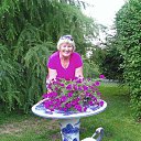 ���� �������, �����������-��-�����, 75 ��� - ��������� 15 ���� 2014 � ������ ������ ��������