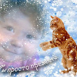 ���� ��������, ������, 42 ���� - ��������� 6 ���� 2014