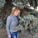 ���� ��������, ������ - ��������� 30 ����� 2014 � ������ ���� ����������