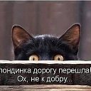 ���� *����, ��������, 59 ��� - ��������� 5 ������ 2014 � ������ ������ ��������