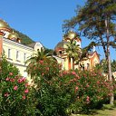 ���� ���������, �������, 44 ���� - ��������� 24 ����� 2014