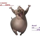 ���� ����, ����������, 47 ��� - ��������� 28 ���� 2014 � ������ ������ ��������