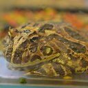 ���� ������, ������, 51 ��� - ��������� 24 ������ 2014 � ������ �����������-7�