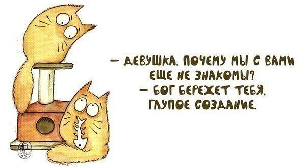  @ - 6  2014  19:57
