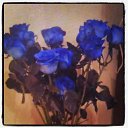 ���� Liana, �����������, 45 ��� - ��������� 22 ����� 2014 � ������ ������ ��������
