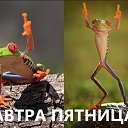 ���� Taras, ������ - ��������� 11 ���� 2014 � ������ ���� ����������