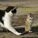 ���� ����, ������, 53 ���� - ��������� 25 ��� 2014 � ������ ������ ��������