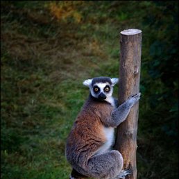 ���� �������, ������ ��������, 36 ��� - ��������� 9 ��� 2014