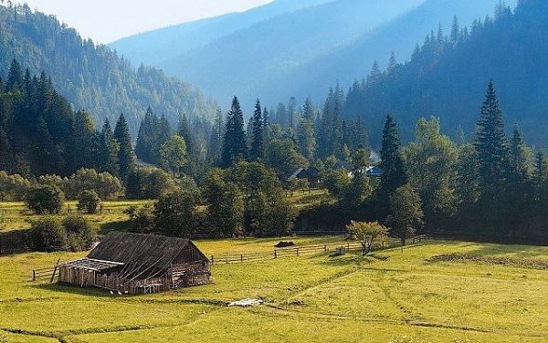 , . Carpathians, Ukraine.