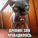 ���� ���, ����� - ��������� 29 ��� 2014
