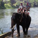 ���� ������, ����������, 66 ��� - ��������� 29 ��� 2014 � ������ ���� ����������