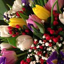 ���� Ninell, ������ - ��������� 22 ������� 2014 � ������ ���� ����������