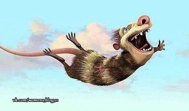   !  ......  .....!    ...