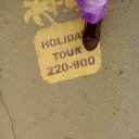 ���� �����, ������� - ��������� 23 ���� 2014 � ������ �23.06.2014�