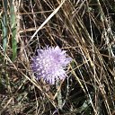 ���� Nik, ���������, 46 ��� - ��������� 3 ������� 2014 � ������ ����