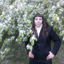 ���� ���, ������ , 41 ��� - ��������� 7 ���� 2014 � ������ ���� ����������