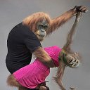 ���� ������, ����, 54 ���� - ��������� 6 ������ 2014 � ������ ������ ��������