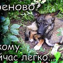 ���� ��������, ������ �������� - ��������� 4 ���� 2014 � ������ ������ ����� �� ����...�
