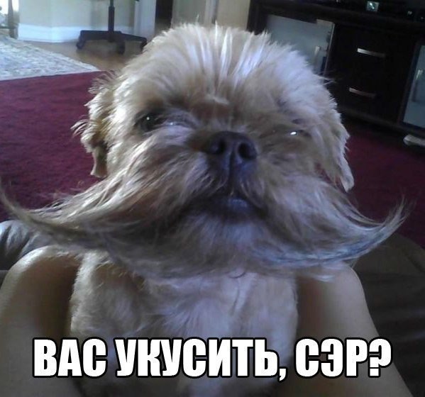 �������������� �� ���� �������� <a href=