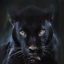 ���� ���������, ������, 53 ���� - ��������� 16 ������� 2014 � ������ ������ ��������