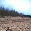 ���� ���-��-���, �����-���������, 59 ��� - ��������� 17 ������ 2014 � ������ ������ ��������