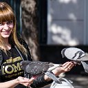 ���� ��������, �����, 36 ��� - ��������� 4 ������� 2014 � ������ ���� ����������