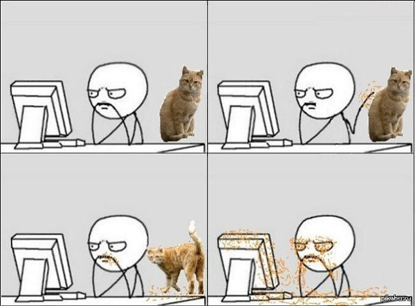Мем про котиков