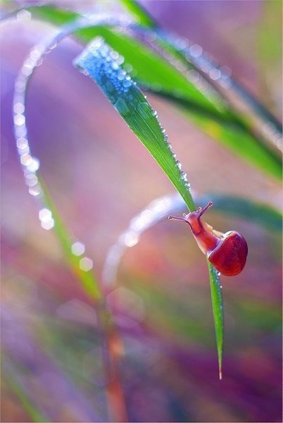 Самое приятное – это когда хорошего не ждёшь, а оно берёт и случается. - 6