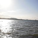 ��� 2914� ����� -�������� ���� ������. �� ������� ������ ��������