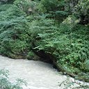 ���� ����, ����������, 62 ���� - ��������� 16 ������� 2014 � ������ ���� ����������