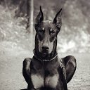 ���� ����, ���������, 47 ��� - ��������� 11 ���� 2014 � ������ ������ ��������