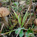 ���� �����, �����, 64 ���� - ��������� 6 ��� 2014 � ������ ������������ ������