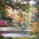 ���� �������-, ������ ��� - ��������� 24 ���� 2014 � ������ ������ ��������