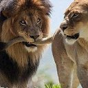 ���� ���������, ������, 58 ��� - ��������� 22 ������� 2014 � ������ ������ ��������