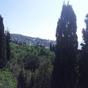  ,  -  21  2014    ))))))))))