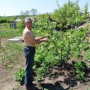 ���� �������, �������, 68 ��� - ��������� 8 ��� 2014 � ������ ���� ����������