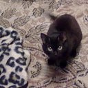 ���� ��������, �������, 47 ��� - ��������� 1 ������� 2014 � ������ ���� ����������