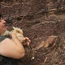 ����� �������� �� ������� ���� ���� � ߻