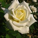 ���� ����, ������ - ��������� 7 ������ 2014 � ������ ���� ����������