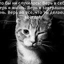 ���� ����, �������, 45 ��� - ��������� 11 ��� 2014 � ������ ���� ����������