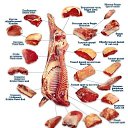  , - -  17  2014    .