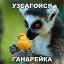  ,  -  12  2014    