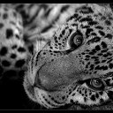 ���� ����, ������, 22 ���� - ��������� 23 ��� 2014