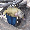 ���� �����, �����, 66 ��� - ��������� 27 ���� 2014 � ������ ���� ����������